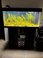 Acquario 180 L