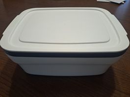 Tupperware Brotbox