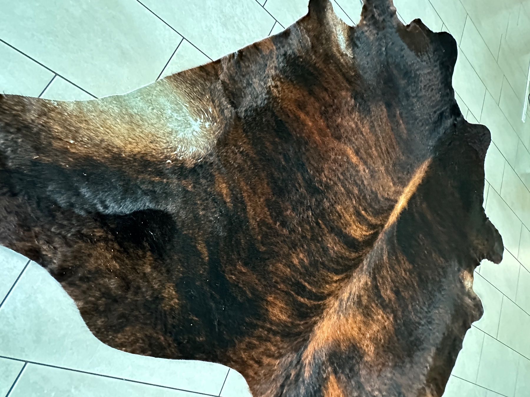 Tappeti: Kuhfell mit wunderschönem Muster – Usato da Bremgarten AG venduto da Gehoef 1