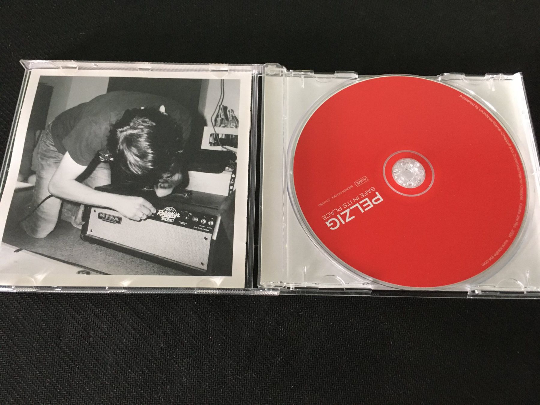 CDs: Pelzig - Safe in it's Place -CD- – Gebraucht aus St.Gallen von MedienJoe 1