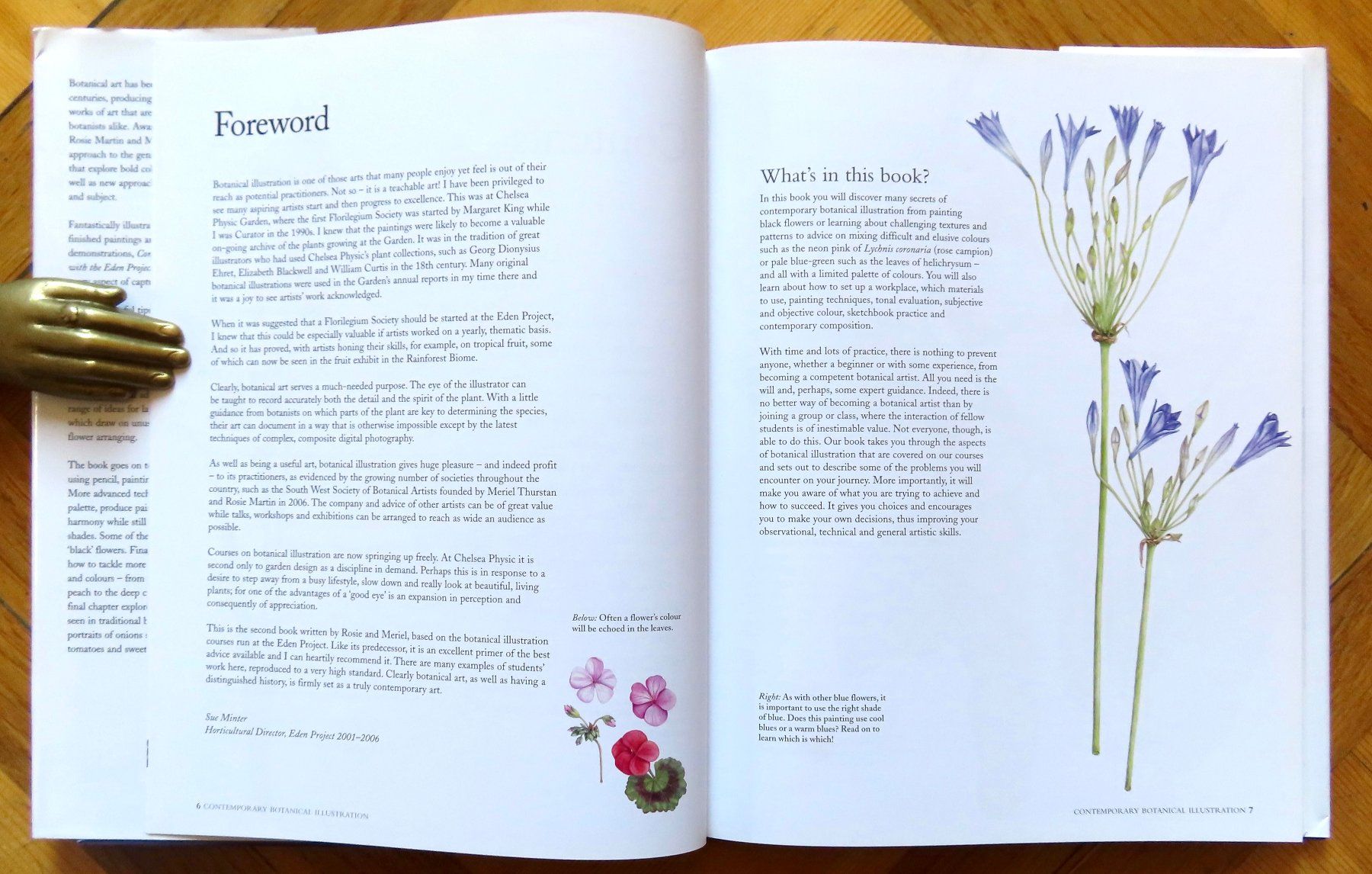 Libri: Contemporary Botanical Illustration – Usato da Le Locle venduto da LibrairieLaBergerie 1