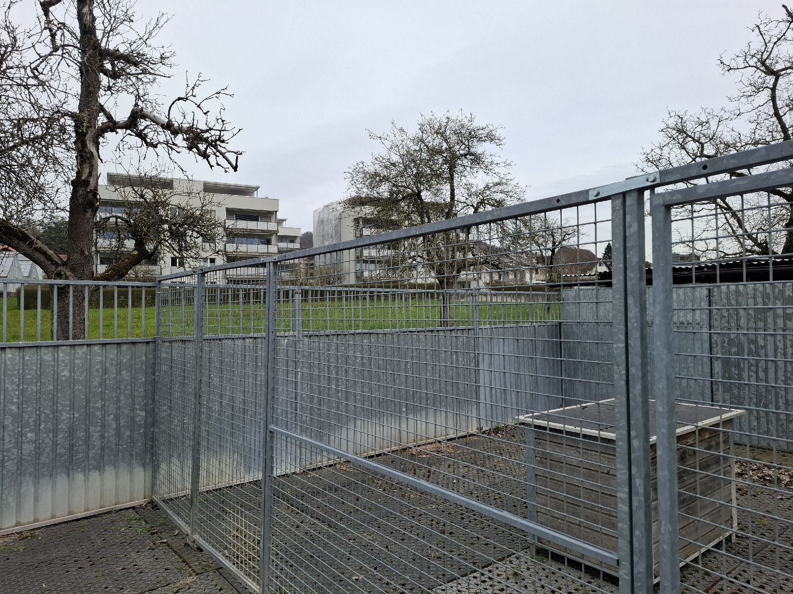 Gabbie, trasporto & Sicurezza: Zwingeranlage für Hunde  – Usato da Birmenstorf AG venduto da kildareeins 4