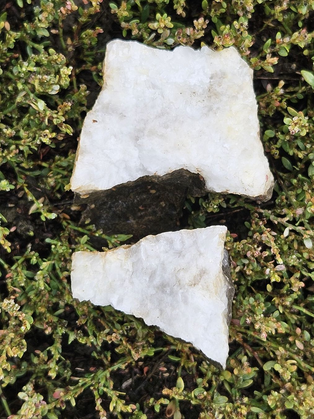 Edelsteine: Pierre carbonate métamorphisée / Valais – Gebraucht aus Sion von jol_558w 2