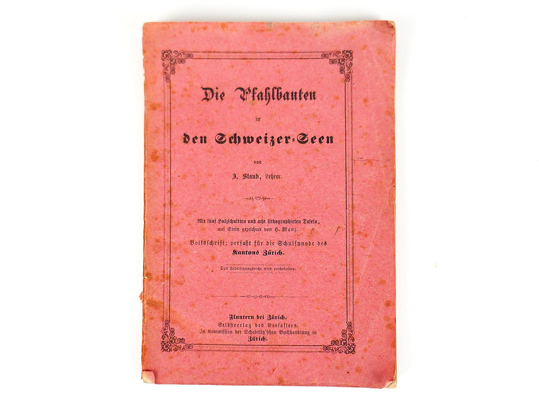 Libri: Buch "Die Pfahlbauten" – Usato da Urtenen-Schönbühl venduto da Restwert_Schoenbuehl