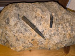 Fossilienplatte, Belemniten, ca. 180 Mio Jahre alt!
