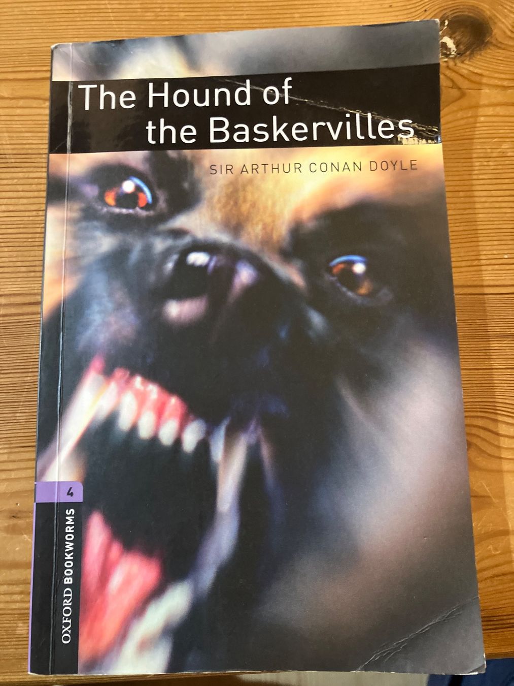 Libri: The Hound of the Baskervilles – Usato da Madiswil venduto da Christanne