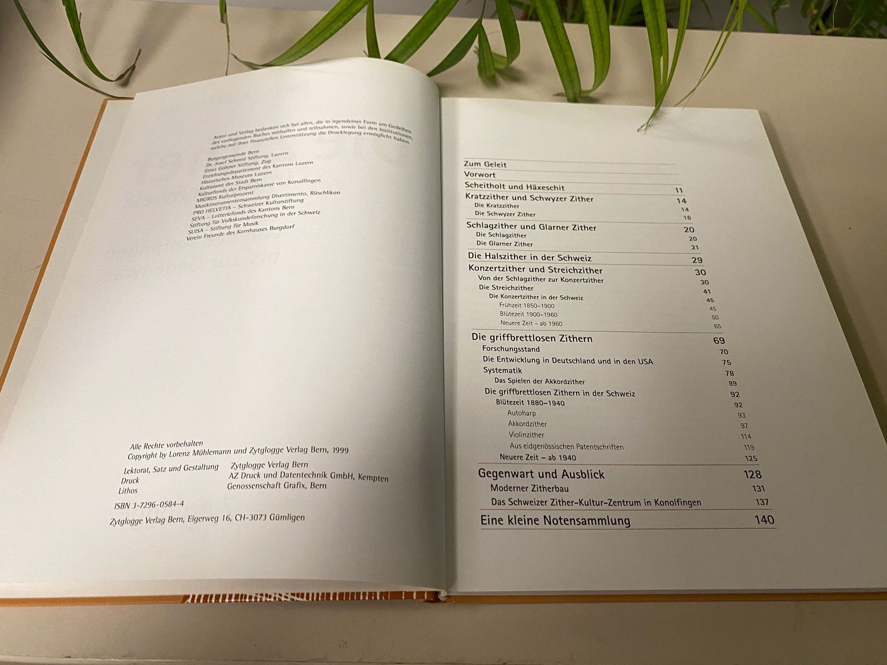 Libri: Buch "Die Zither" Entwicklungsgeschichte ! – Usato da Brügg BE venduto da rutschimedizin 3
