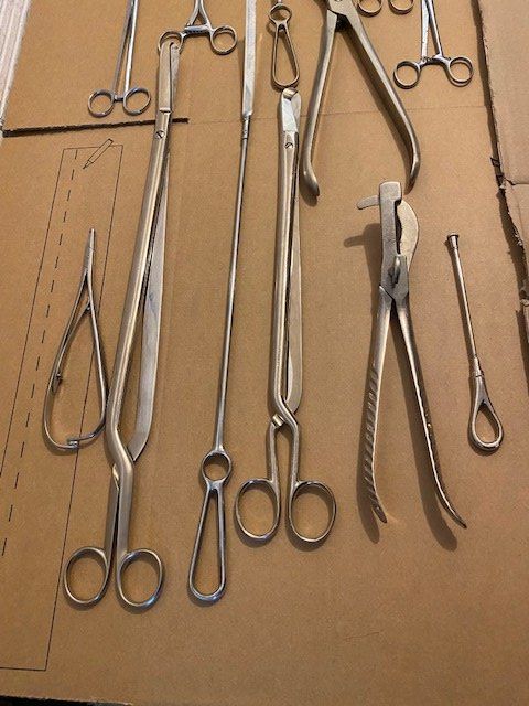 Swiss Tutti gli attrezzi: LOT TIERARZT  INSTRUMENTE – Usato da Chur venduto da silbermon 1
