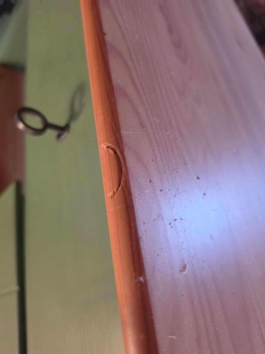 Armadi: grüner Schrank IKEA – Usato da Luzern venduto da JanineV02 2