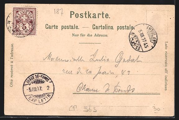 Cartoline postali: Litho Bern, Panorama de la Ville, La Gra – Usato da Berlin venduto da bartko-reher 1