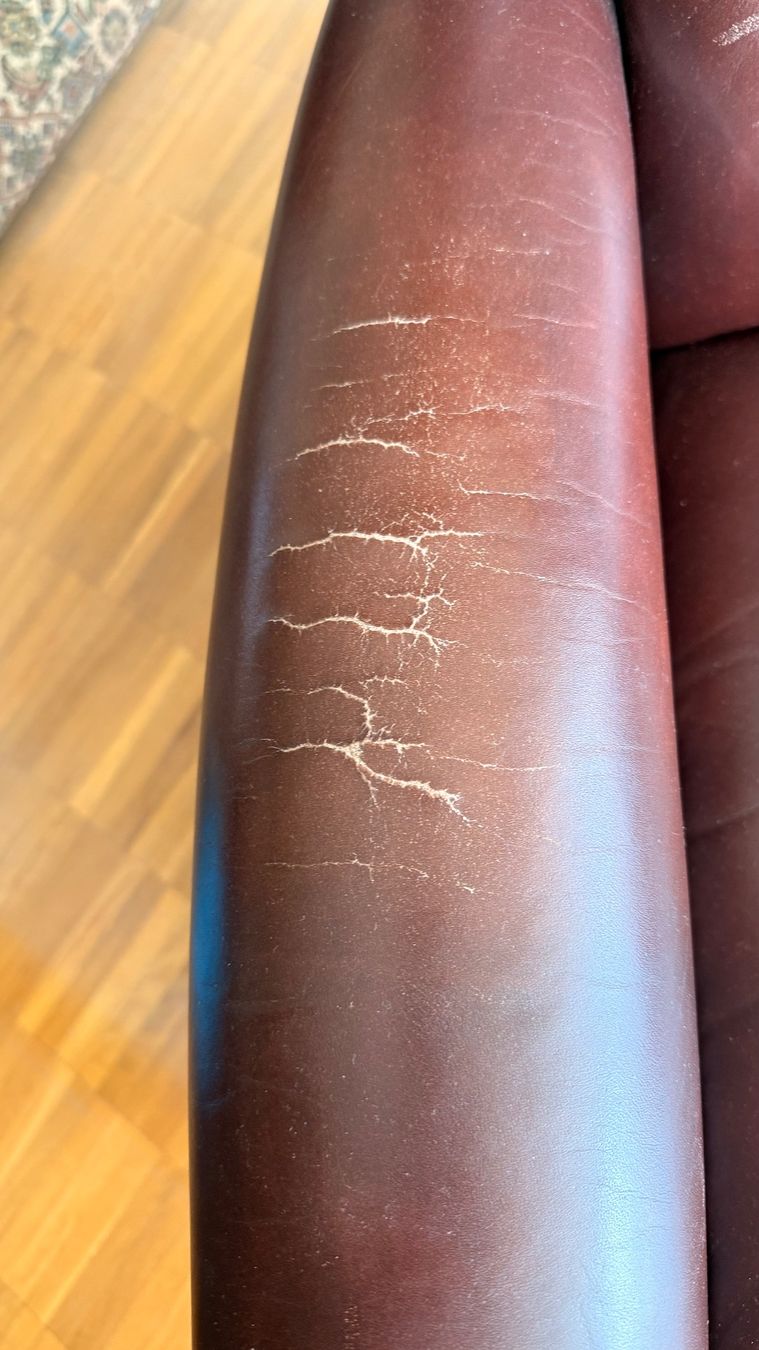 Sessel: Ledersessel braun Chesterfield – Gebraucht aus Wallisellen von lions009 1