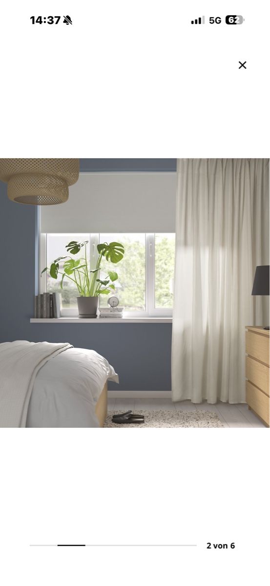 Tende: 5x IKEA STENFRÖ VORHANG 300x300 – Nuovo (secondo la descrizione) da Zürich venduto da StudioCardin 3