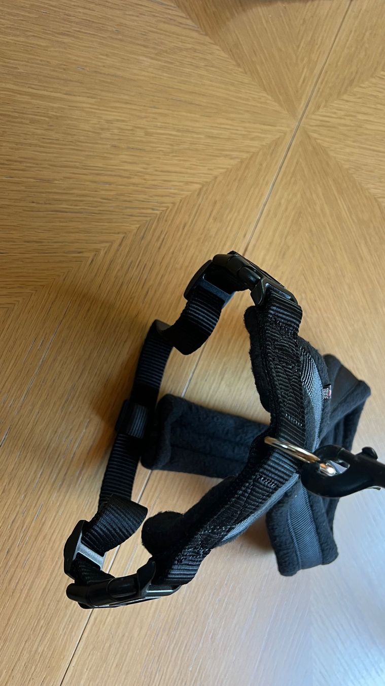 Leine & Halsband: Geschirr Supersoft rot/schwarz, L – Neu und originalverpackt aus Schübelbach von Bemafaja 2