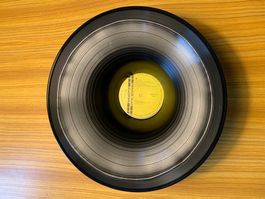 Vinyl Schale Schüssel Obstschale Deko Art Kunst Geschenk