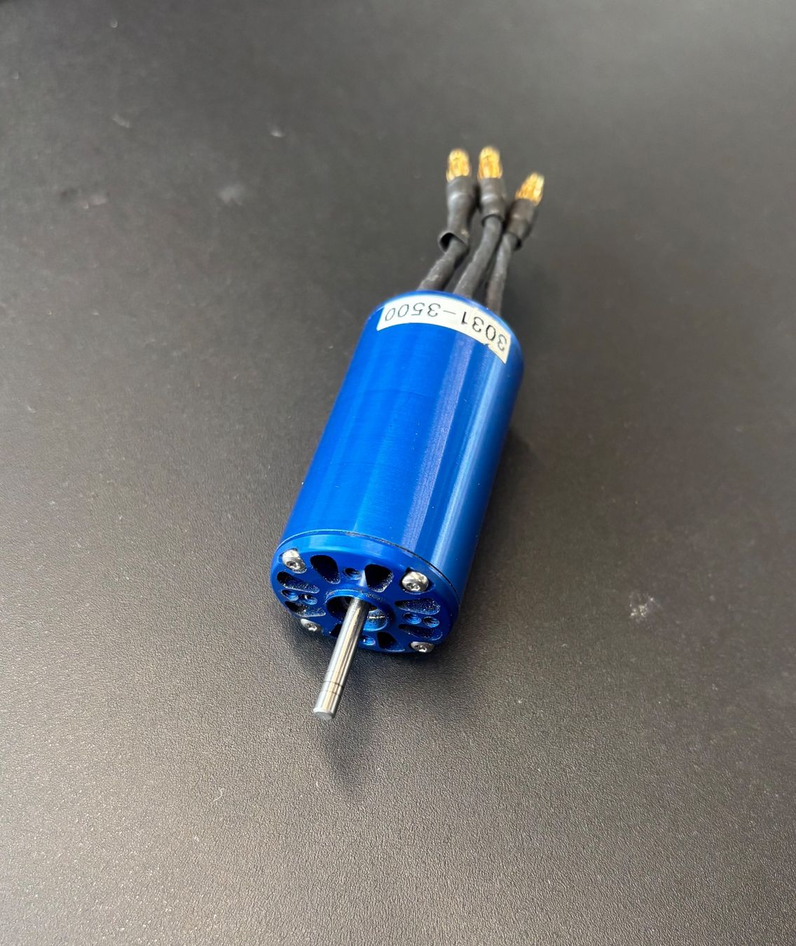 Moteurs: Leomotion BL E-Motor L3031-3500 – D'occasion à Oberwil b. Büren par Kueseschneider 1