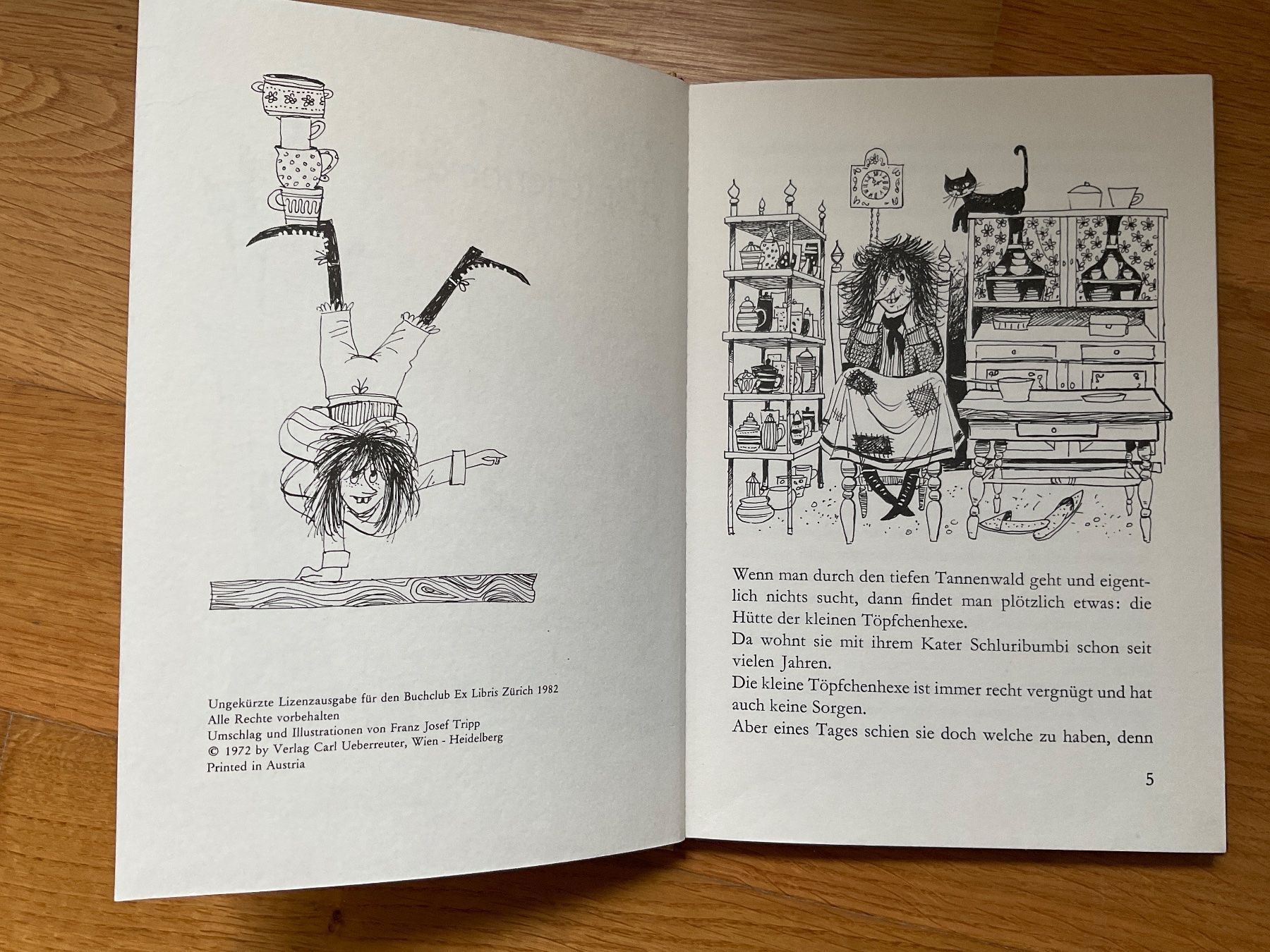 Libri: Die Töpfchenhexe, Buch, Kinderbuch – Usato da Dinhard venduto da R.B.G23 3