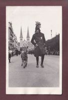 Photo - LUZERN - Prozession vor der Hofkirche - Ziege