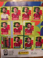 Panini Portugal Set