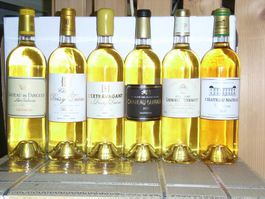 12 Flaschen Sauternes 2011 – 6 Grands Crus – OHK, 12×75 cl