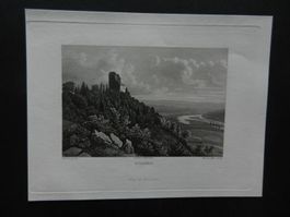 Wildegg von Triner