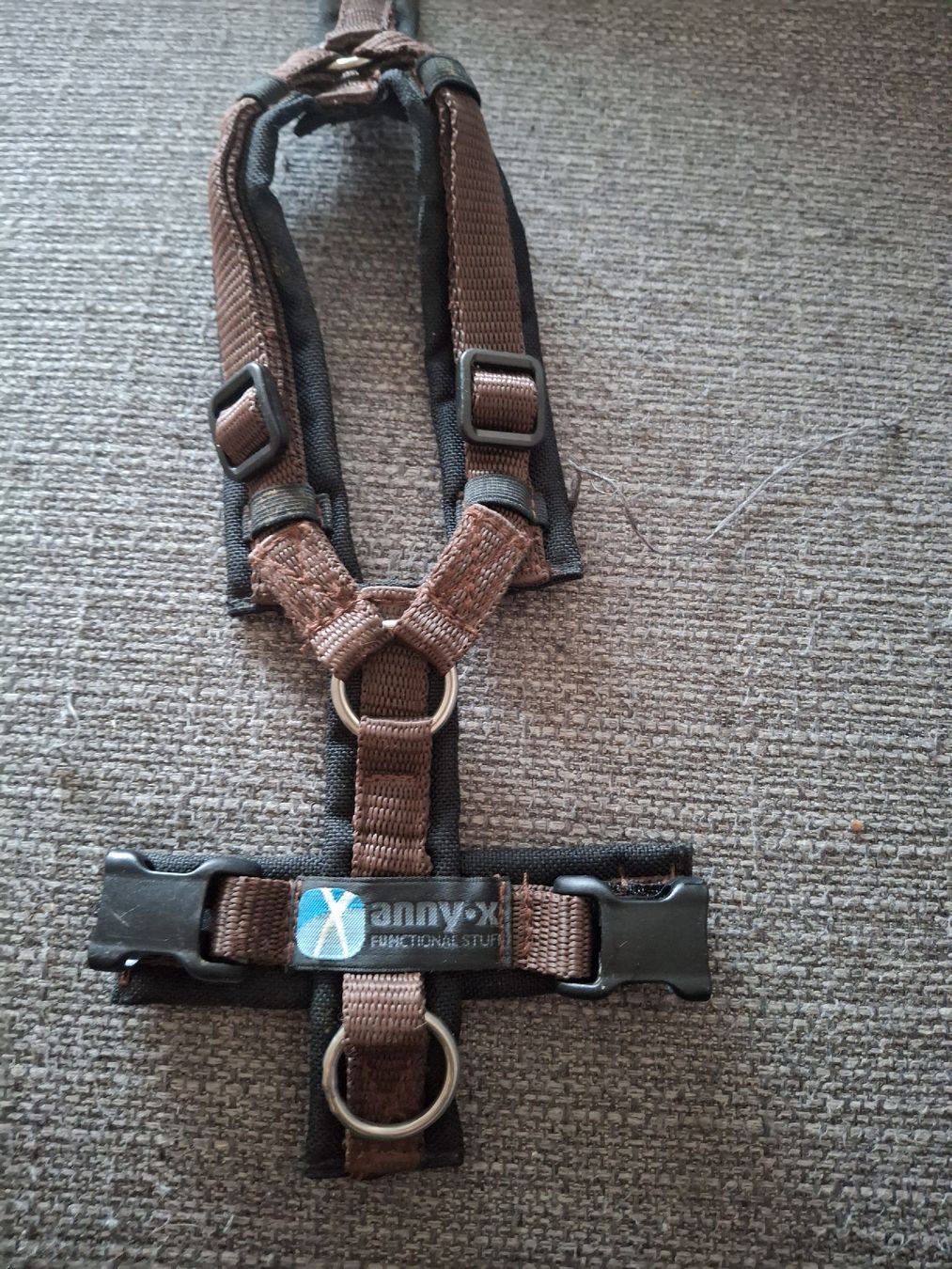 Anny X Leine & Halsband: Anny-x xxs – Gebraucht aus Langenthal von Coopkiste 1