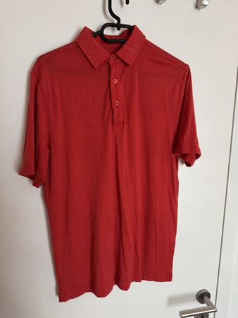 Joe Merino Polo