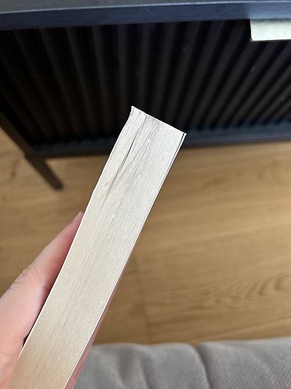 Libri: Wildfire - Hannah Grace (Roman) – Nuovo (secondo la descrizione) da Altstätten SG venduto da tab_77z2 4