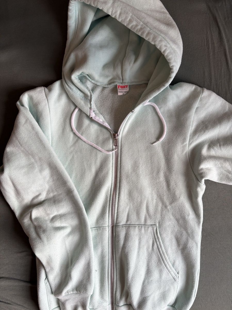 Pullover & Sweatshirts: Pull American Apparel pistache  – Gebraucht aus Genève von Bouux