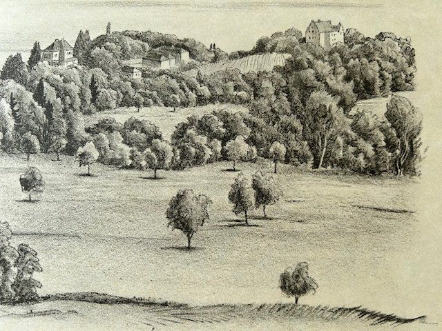 Grafica & Litografie: ✏️ Arenenberg + Salenstein Lithographie E. E. Schlatter – Usato da Ruswil venduto da Tango23 2