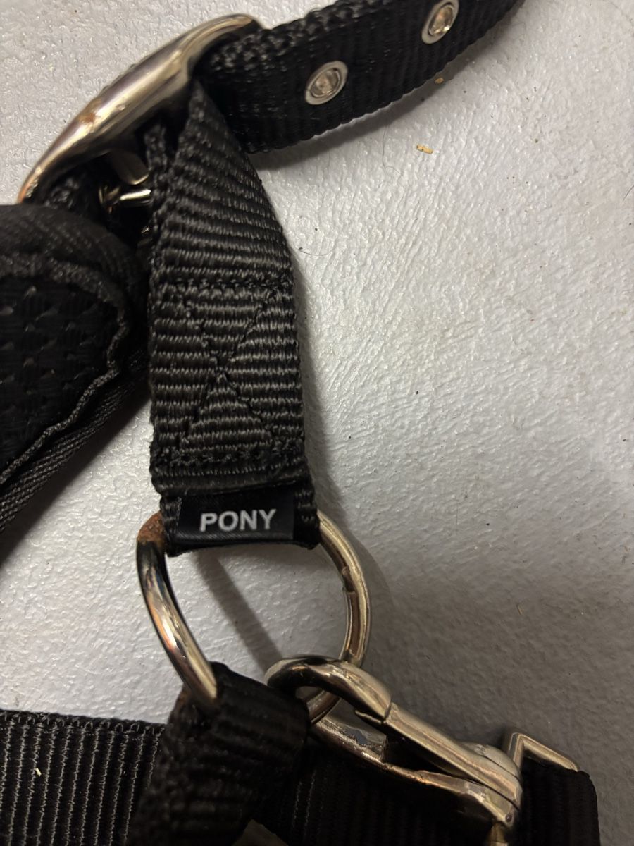 Briglie & Cavezze: Showmaster Pony Longierhalfter – Usato da Möriken AG venduto da Jamas76 2