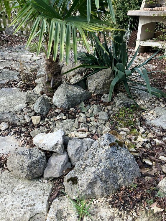 Große Steine und Pflanze zu verschenken Kaufen auf Ricardo