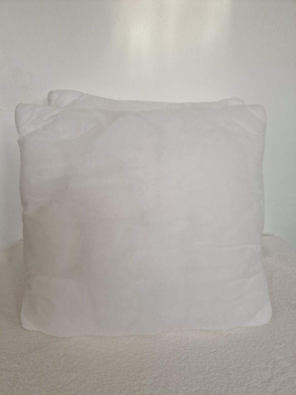 Cuscini: Zwei Kissen mit Polyesterfüllung 50cm x 50cm – Usato da Hallau venduto da CHACLA 1