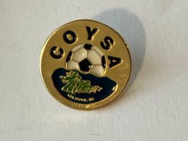 1 Pin Coysa