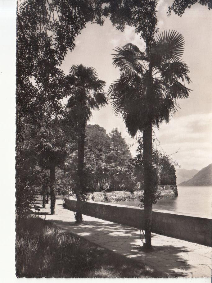 Cartoline postali: Brissago ca. 1950 – Usato da Bürglen TG venduto da StampGraf