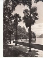 Brissago ca. 1950