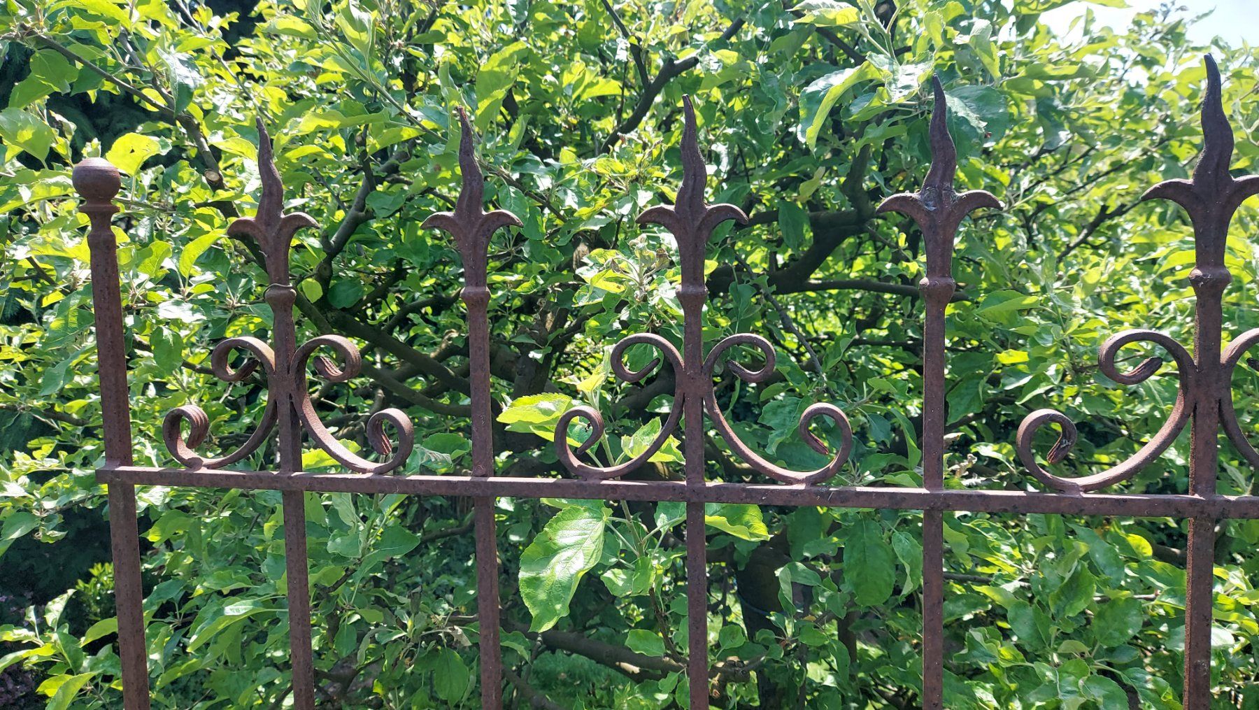 Altre Decorazioni per giardino: Zaun aus Eisen - Kletterhilfe – Usato da Küssnacht am Rigi venduto da Mukare