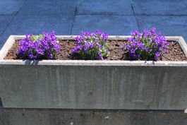 PFLANZTROG aus Beton