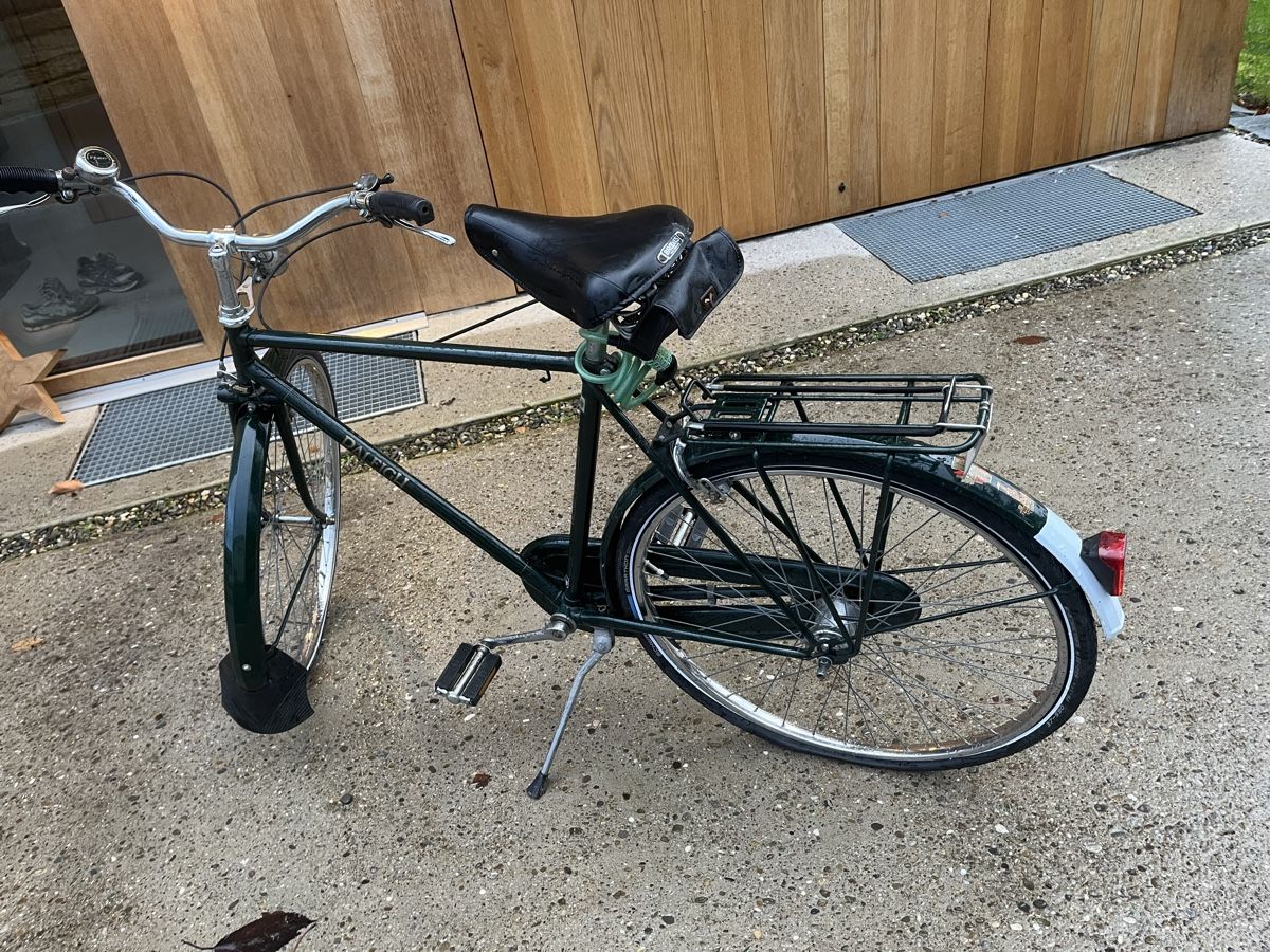 Raleigh Biciclette: Raleigh retro Fahrrad – Usato da Muttenz venduto da Agyla 1