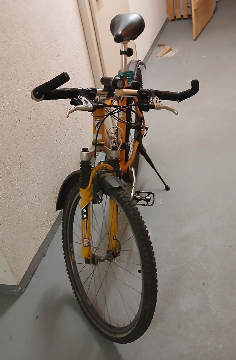 Canyon Biciclette: Canyon Mountainbike – Usato da Kerzers venduto da Lacky88 1