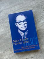 Homo Faber von Max Frisch