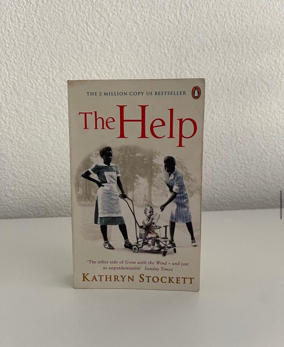 Libri: The Help, Kathryn Stocket – Usato da Neuenegg venduto da aba_g85b