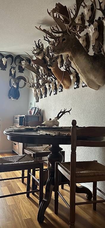 Set di tavolo e panche: Antiker Tisch inkl. Stühle – Usato da Opfikon venduto da B777-1 1
