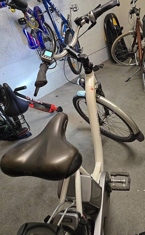 Biciclette: Gut erhaltenes E-Bike Flyer Next Generation 36V, Perfekt  – Usato da Kriens venduto da atlas2014 4