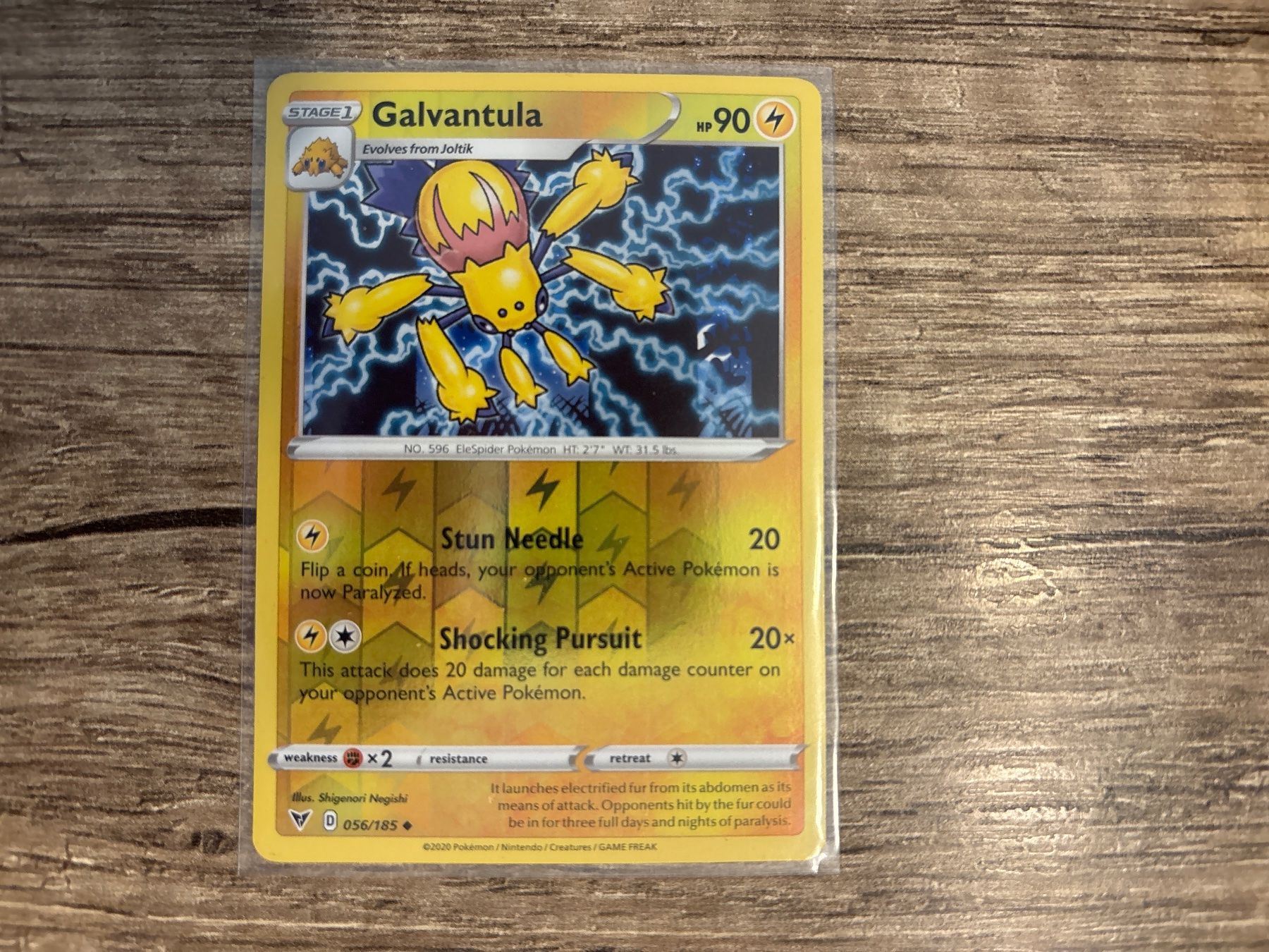 Pokémon Carte collezionabili: Galvantula NM – Nuovo (secondo la descrizione) da Frutigen venduto da swissTCGworld
