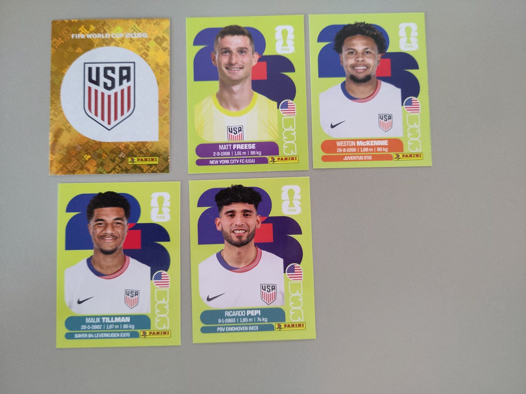 Panini Carte collezionabili: FIFA Panini USA – Usato da Bern venduto da gil_rkx8