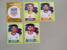 FIFA Panini USA