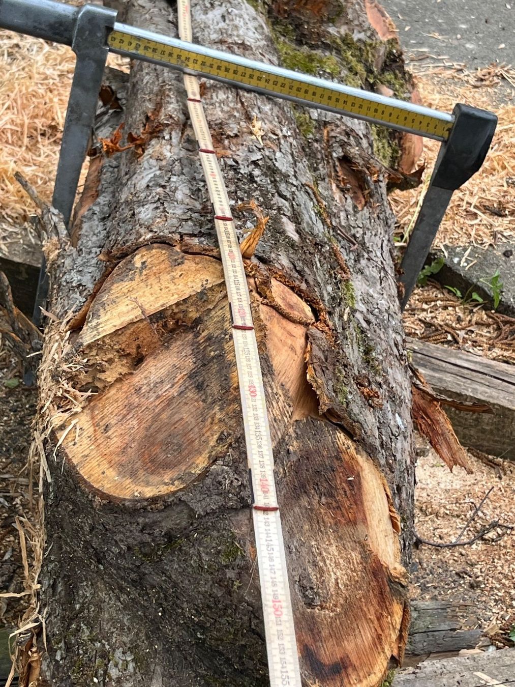 Holzartikel: Apfelbaumstamm – Neu (gemäss Beschreibung) aus Nürensdorf von Peterhakab 3