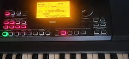 E-Piano KORG XE20 mit Ständer