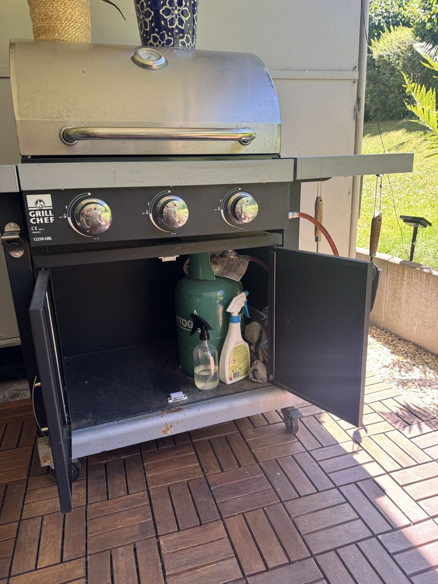 Griglie: Grill, in gute Zustand. Fr.50 – Usato da Zürich venduto da Ekaterinek 2