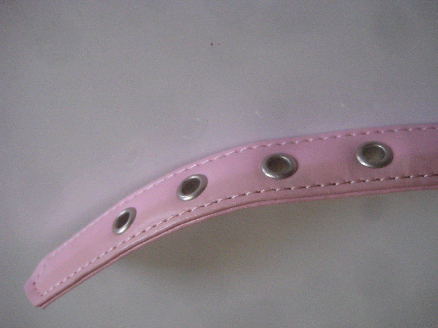 Guinzagli & Collari: HUNDE  HALSBAND – Usato da Uster venduto da flocke1 1